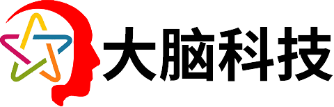 大脑科技，电子标书，15年经验，废标全额退款