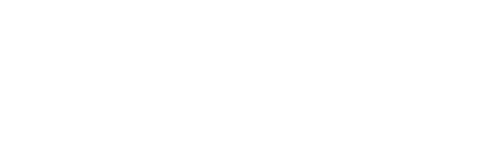 大脑科技，电子标书，15年经验，废标全额退款